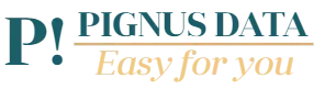 Pignus Data- easy for you